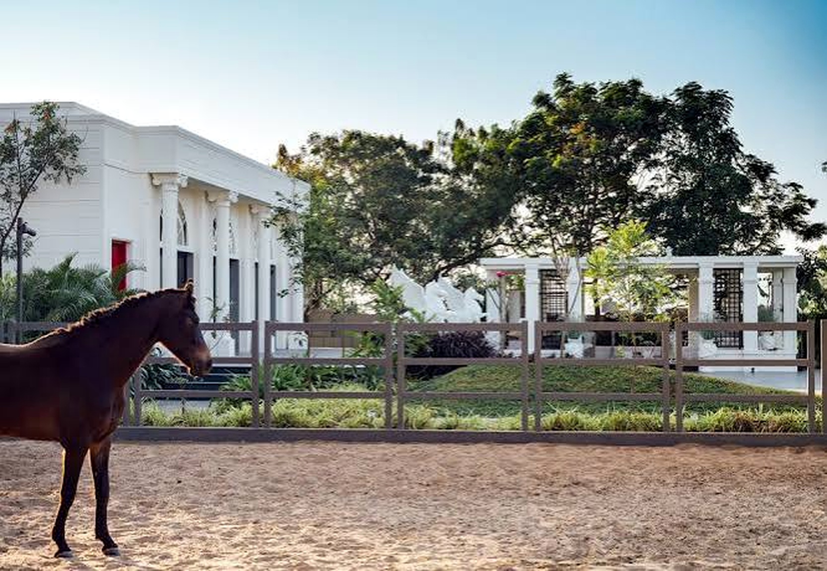 Aswal Stud Farm grounds and horse